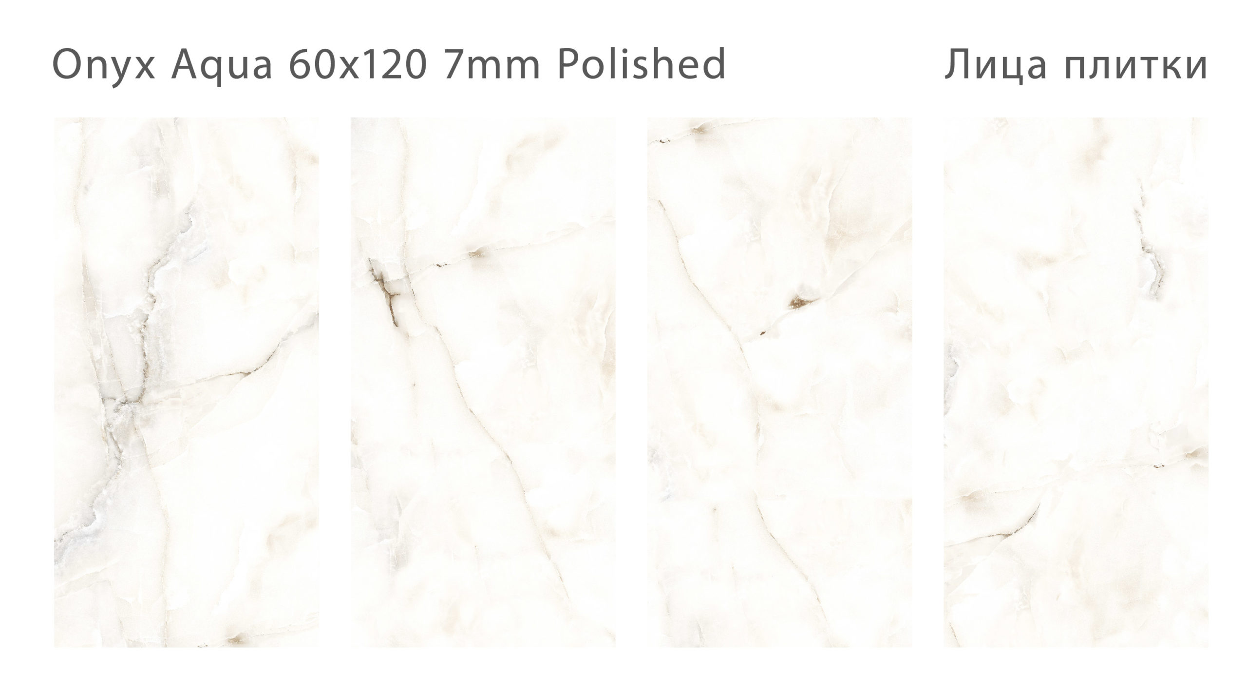 onyx_aqua_60x120_all.jpg