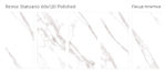 remix-statuario-60x120-polished-all.jpg