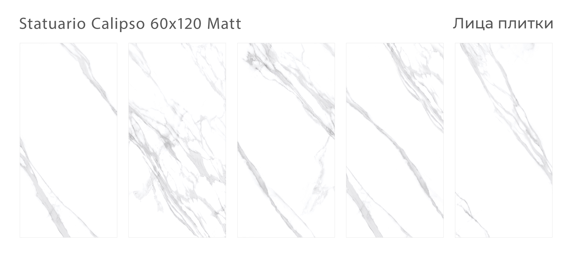statuario-calipso-60x120-matt-all.jpg