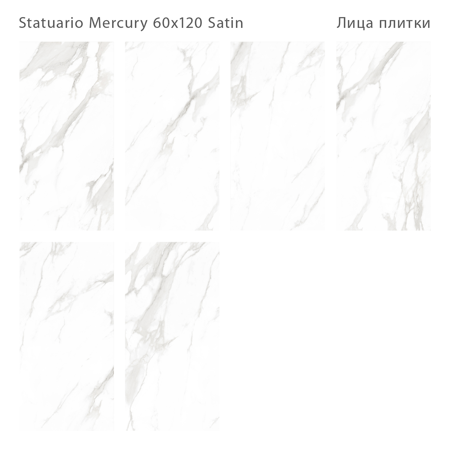 staturio_mercury_satin_120x60_all.jpg