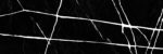 wt11chr99_01.jpg