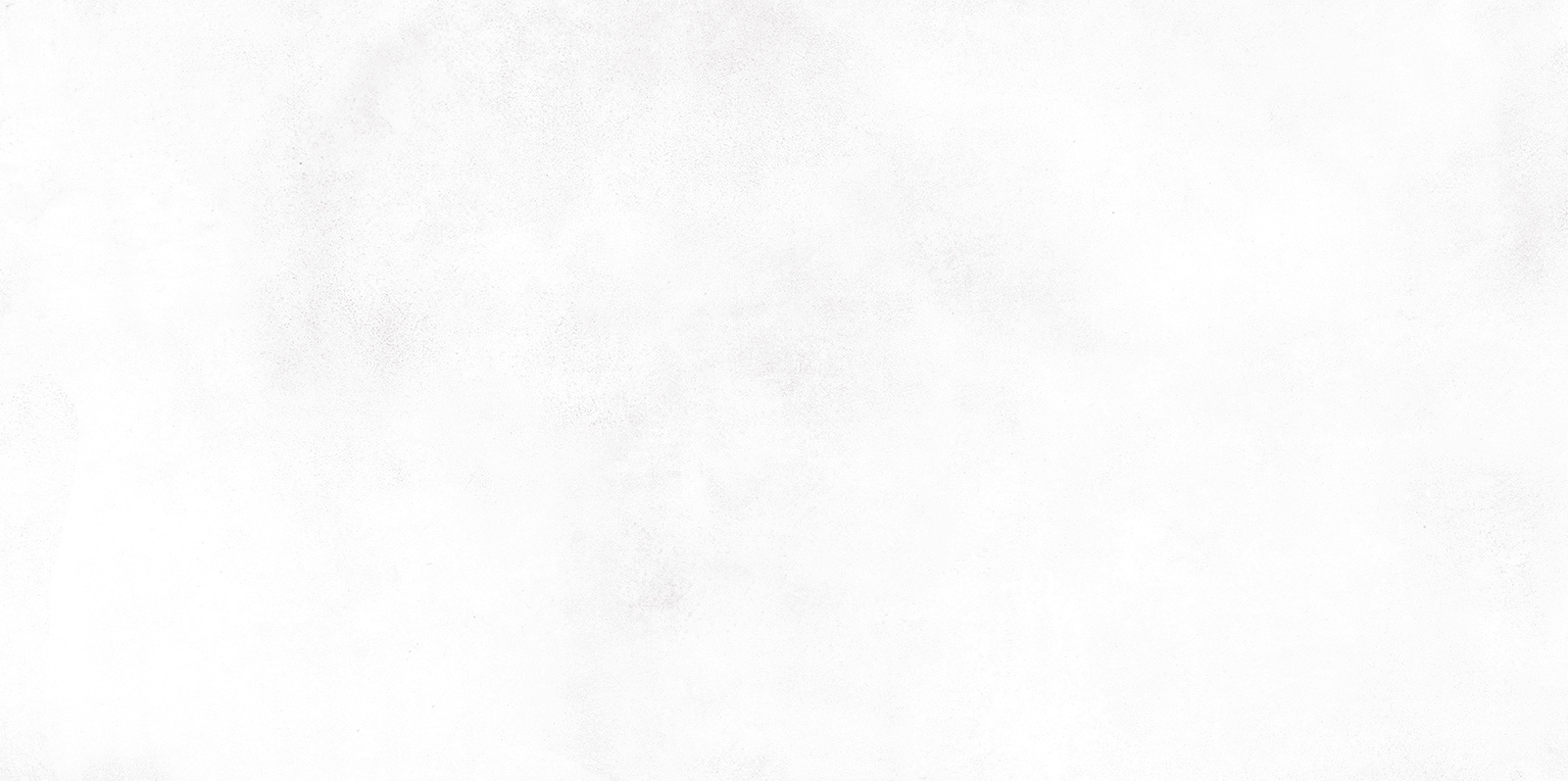 wt9kon00_01.jpg