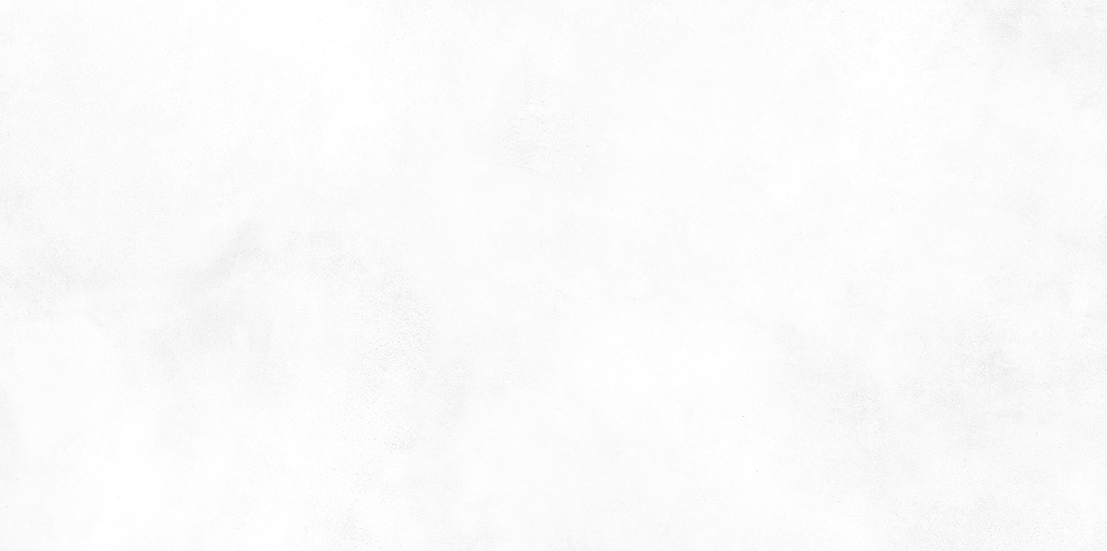 wt9kon00_02.jpg