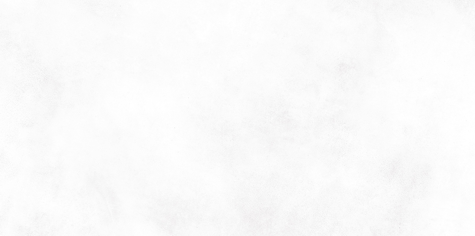 wt9kon00_04.jpg