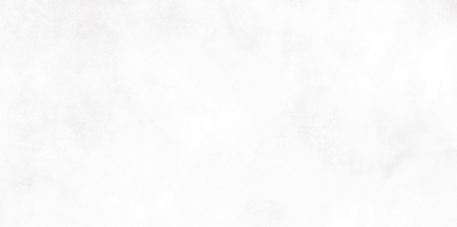 wt9kon00_05.jpg
