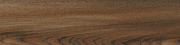 16506_4.jpg