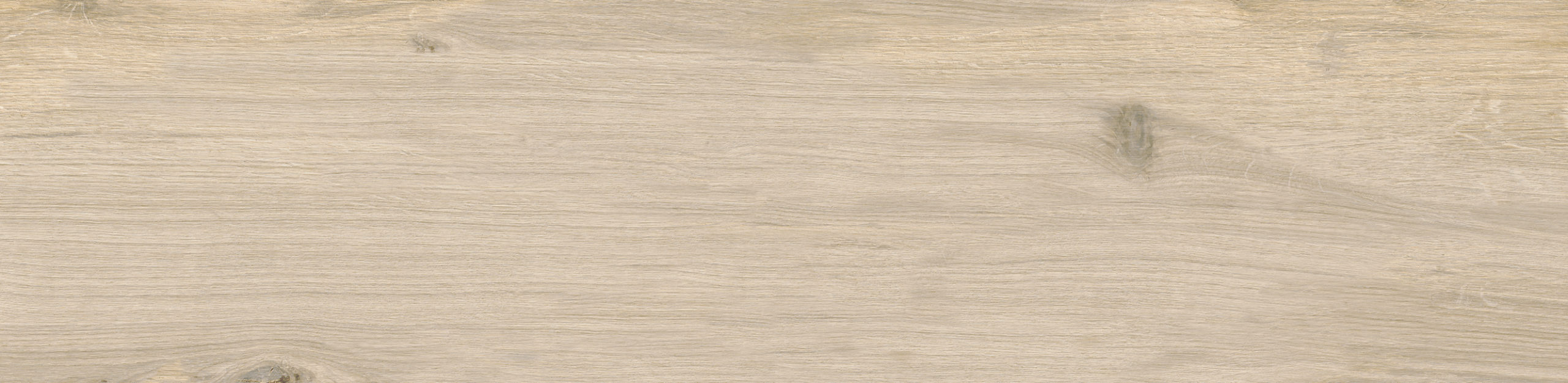 a16837_1.jpg