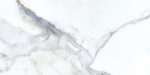 a16881_2.jpg