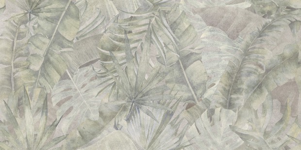 a16889_2.jpg