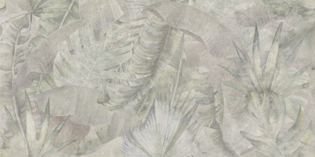 a16889_3.jpg