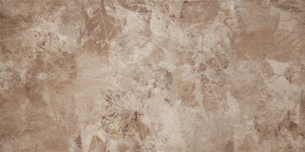 a16891_2.jpg