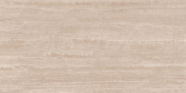 a17538_03.jpg