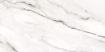 a17541_03.jpg