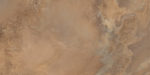 60120elx31p_05.jpg