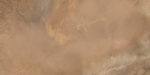 60120elx31p_06.jpg