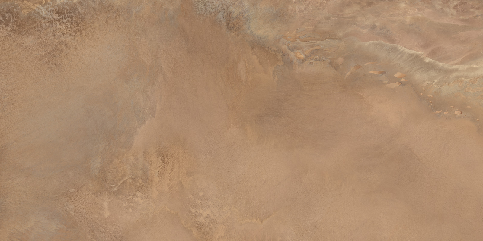 60120elx31p_09.jpg