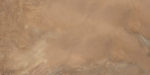 60120elx31p_10.jpg