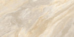 60120sed11p_02.jpg