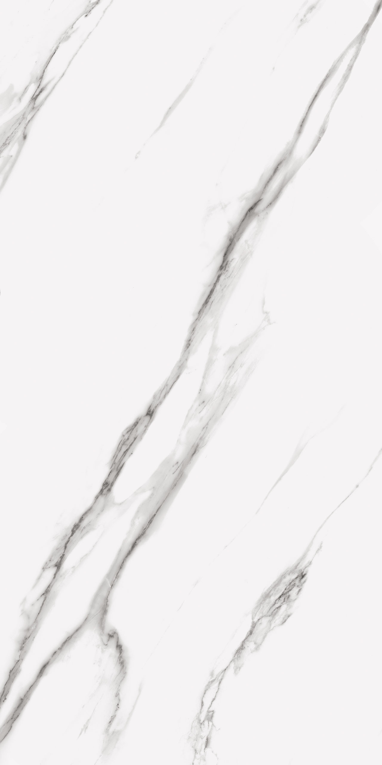 x7p7iy9v2sil455yst2pwnthle7m3hxs.jpg