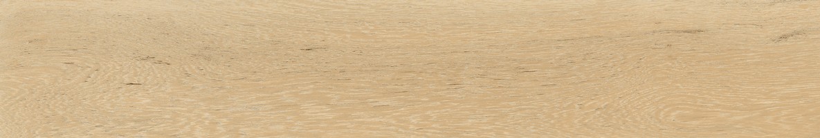 110bce56-f876-11ed-80e9-c1288680db15_0fef68a9-feeb-11ed-80e9-c1288680db15.jpg