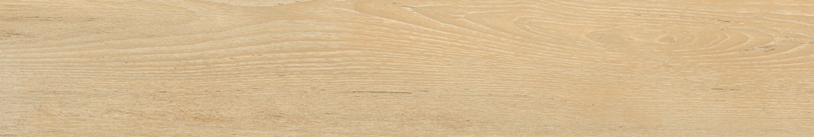 110bce56-f876-11ed-80e9-c1288680db15_0fef697b-feeb-11ed-80e9-c1288680db15.jpg