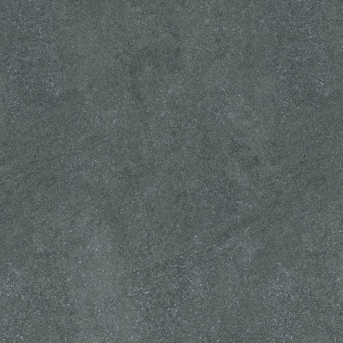 148021d3-3d90-11ee-80f8-d73ed376d9b5_61765d9a-53c5-11ee-80f9-870b996a0d2c.jpg