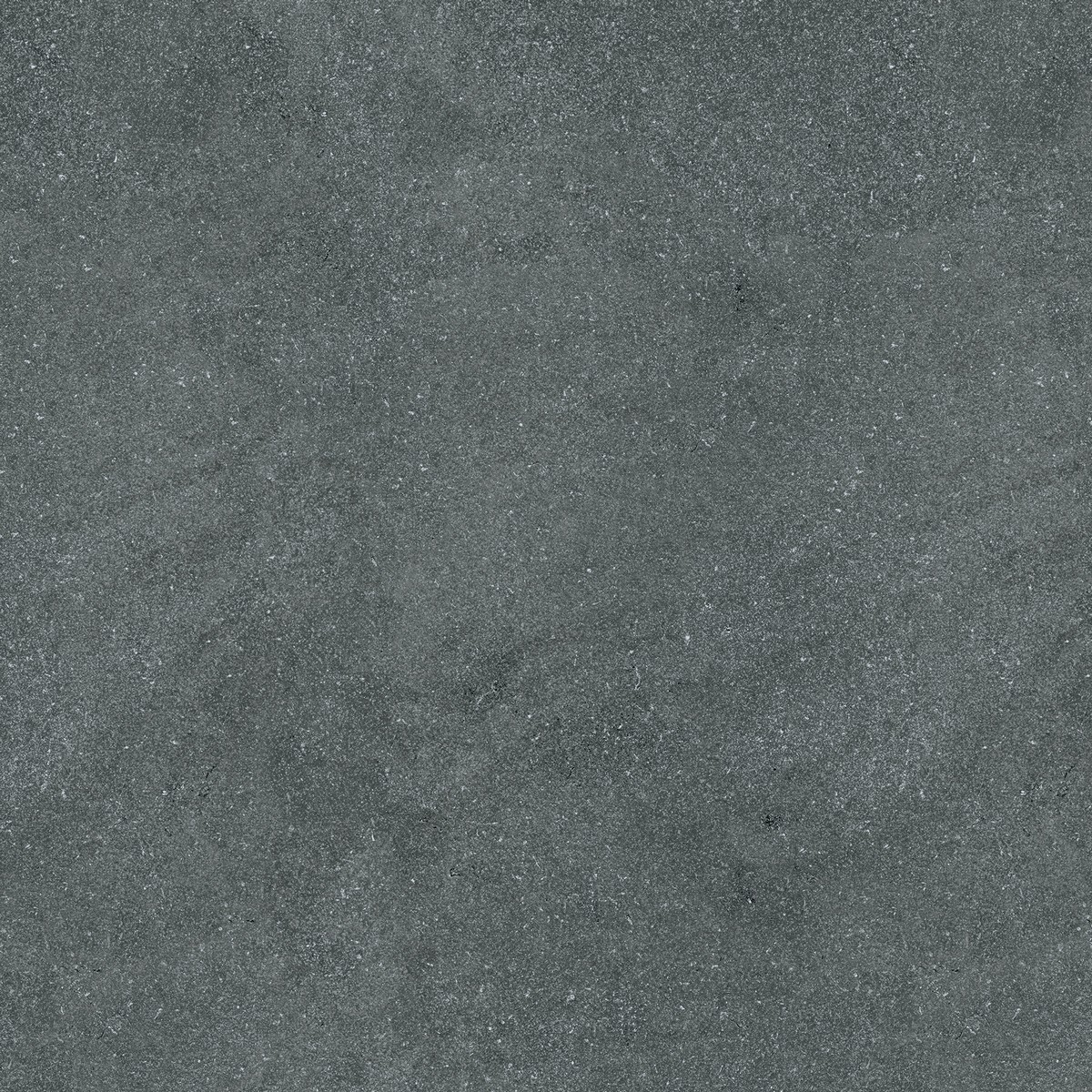 148021d3-3d90-11ee-80f8-d73ed376d9b5_71020352-53c5-11ee-80f9-870b996a0d2c.jpg