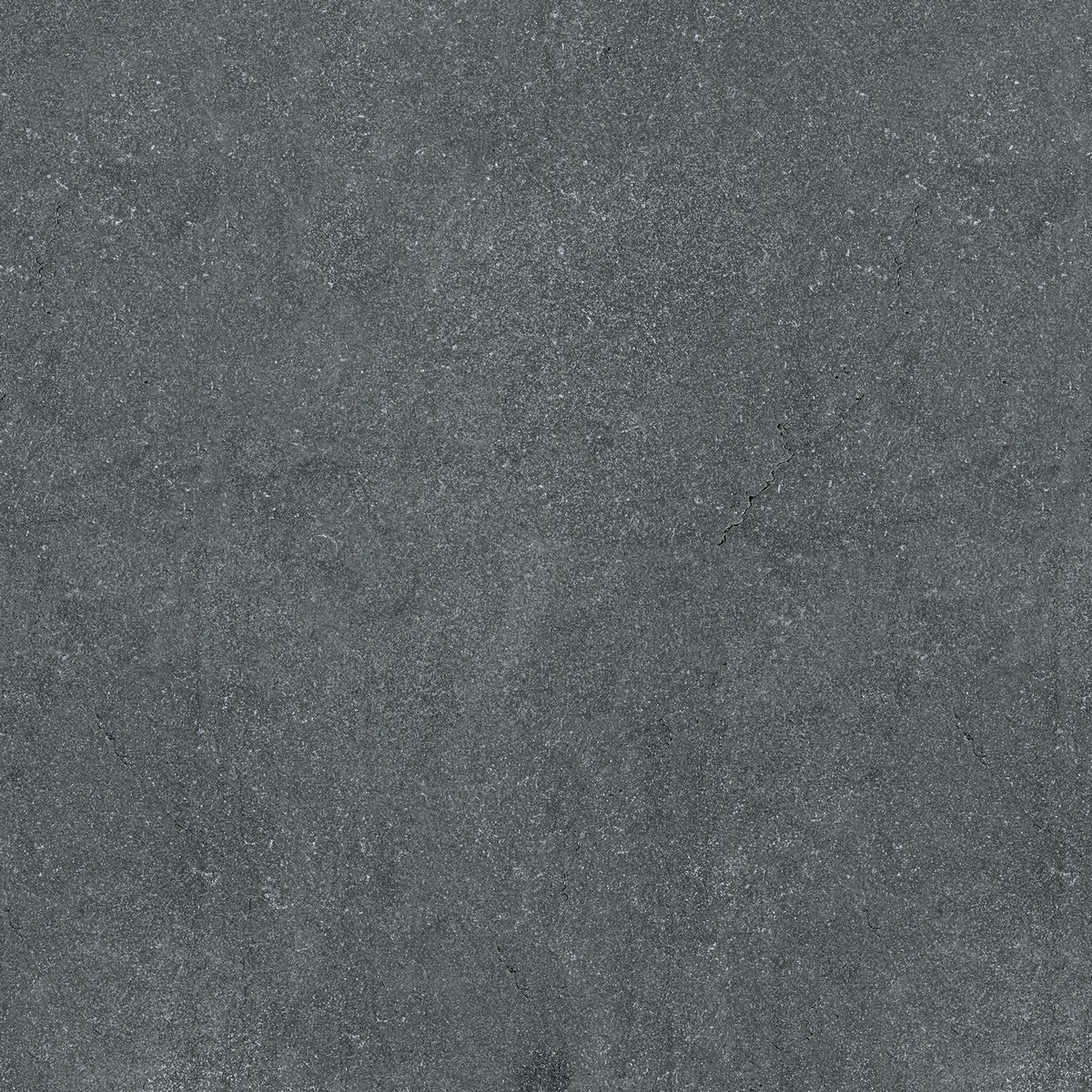 148021d3-3d90-11ee-80f8-d73ed376d9b5_71020398-53c5-11ee-80f9-870b996a0d2c.jpg