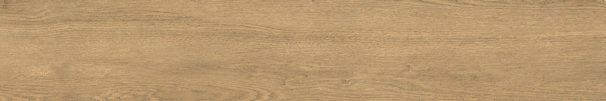 3ec61904-f86c-11ed-80e9-c1288680db15_cf3e8a78-fee9-11ed-80e9-c1288680db15.jpg