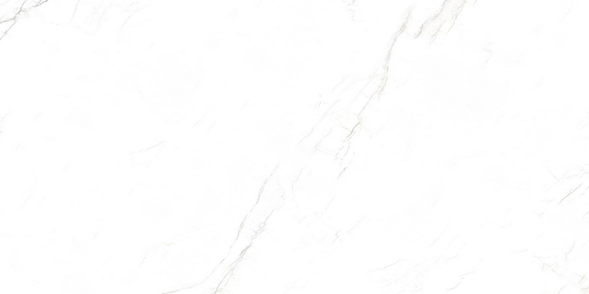 b6c4d866-40c7-11ed-80d9-cc7941c54fac_363330ed-63ea-11ed-80da-ceea4a5f67d1.jpg
