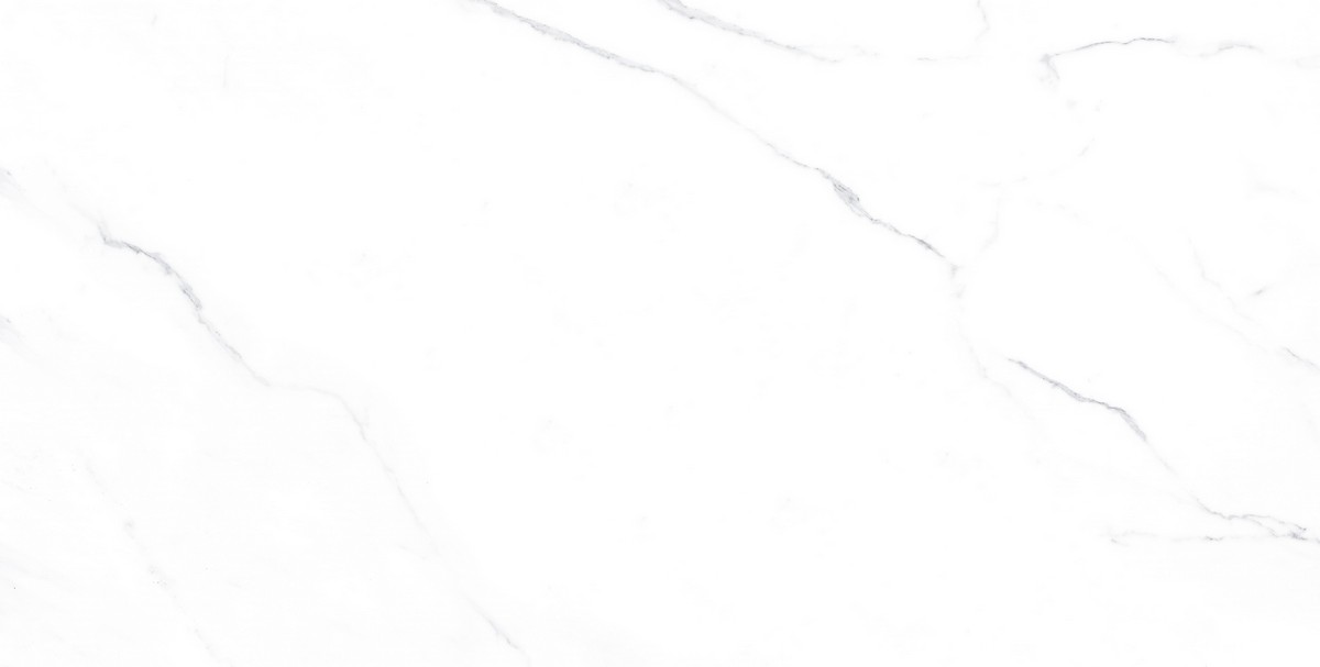 d49d87ef-40c7-11ed-80d9-cc7941c54fac_f8ec29d4-61be-11ed-80da-ceea4a5f67d1.jpg