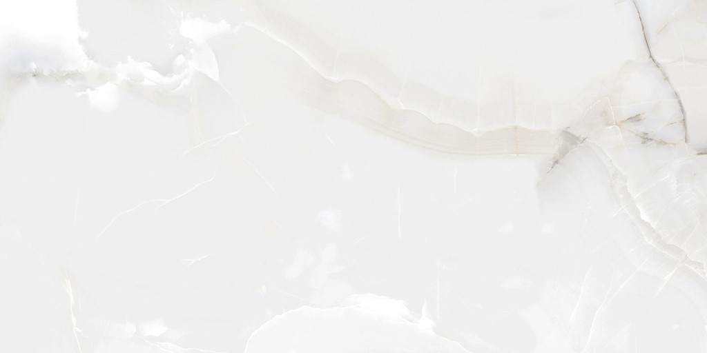 8z5moptoz7u8pd80ik0arhmxlp4fjgzx.jpg