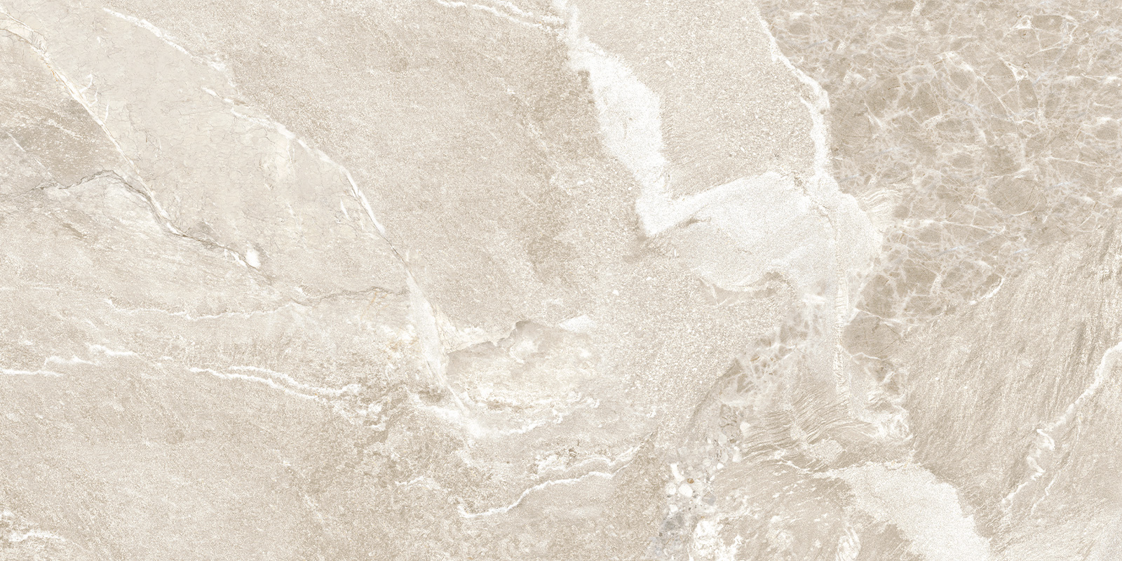 d120262m_02.jpg