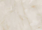 pr102-784x565-1.jpg