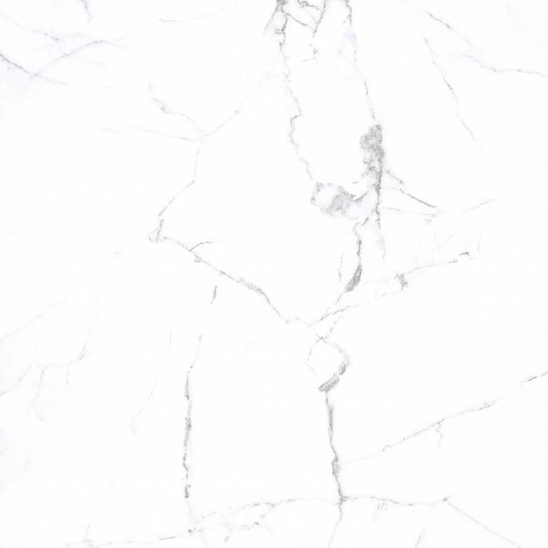 pr206-1-1.jpg