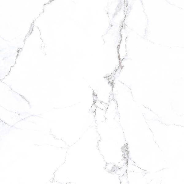 pr206-1-4.jpg
