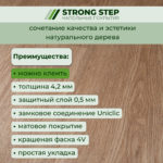 nrsevptx5oj0yrxf1mps6b6ncwpy4n2d.jpg