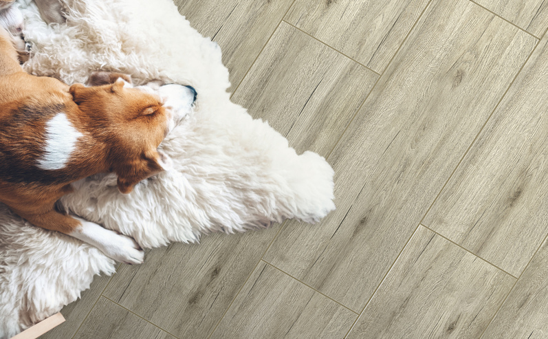 GlobalTile Джизак